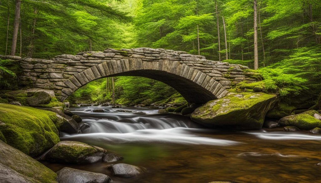 Algonquin State Forest