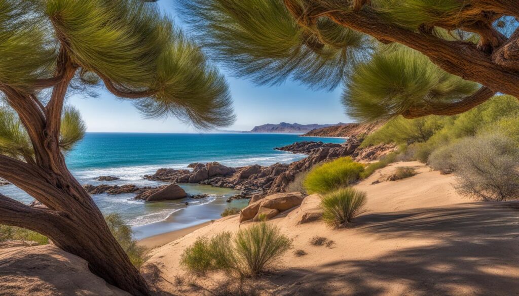 Arizona Beach State Recreation Site