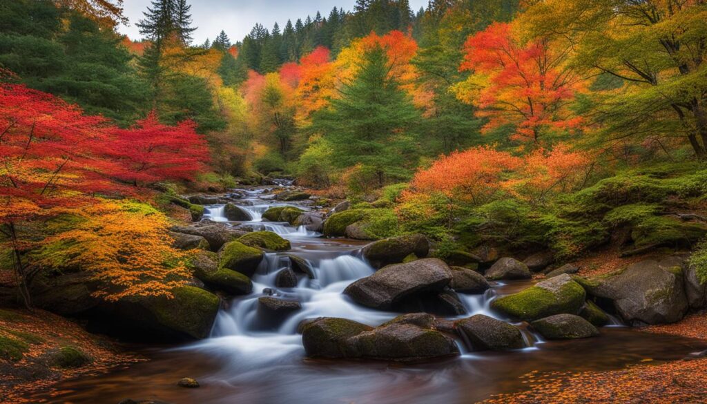 Auburn Valley State Park