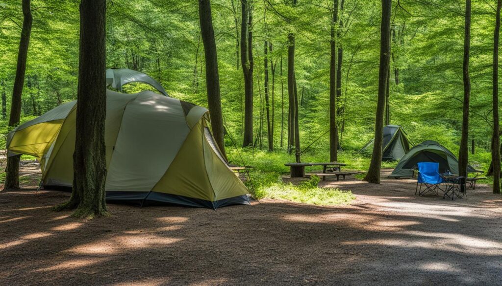 Camping at Pocomoke River State Park