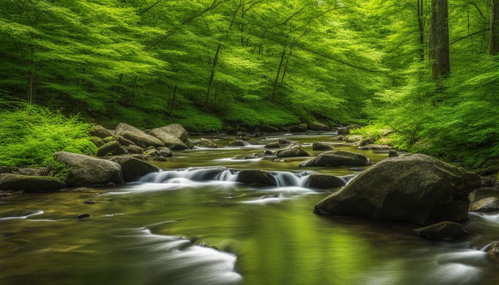 Candlewood Hill Wildlife Management Area