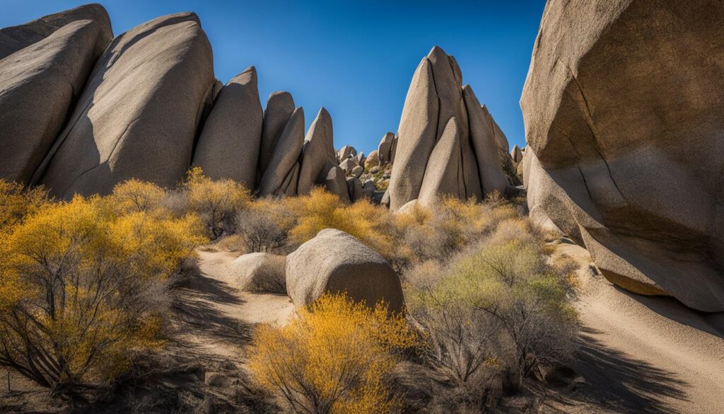 City of Rocks State Park