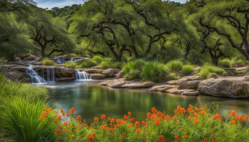 Dripping Springs Park