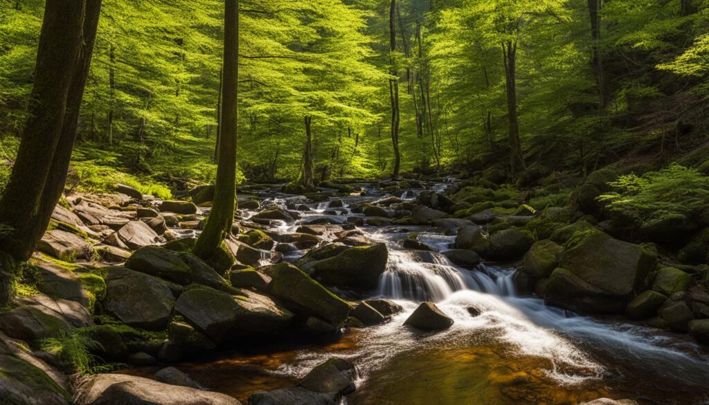 Exploring the Area Around Wadsworth Falls State Park