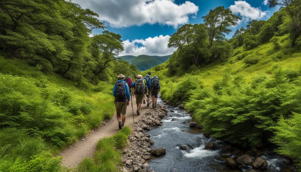 Exploring the Surrounding Area of Morgan Run Natural Environment Area