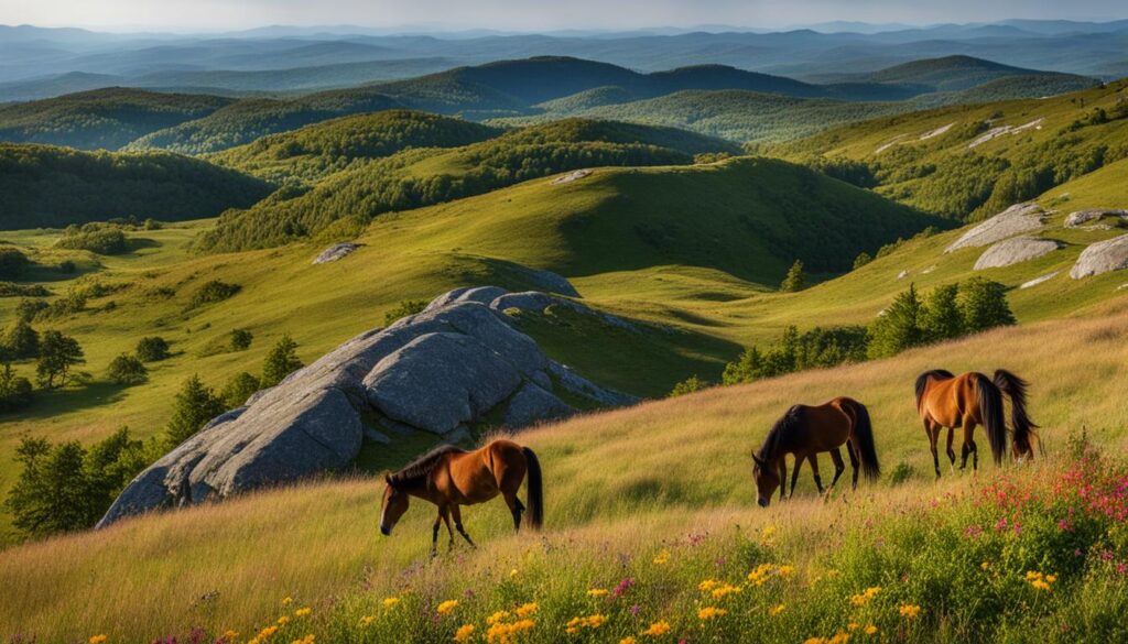 Grayson Highlands State Park