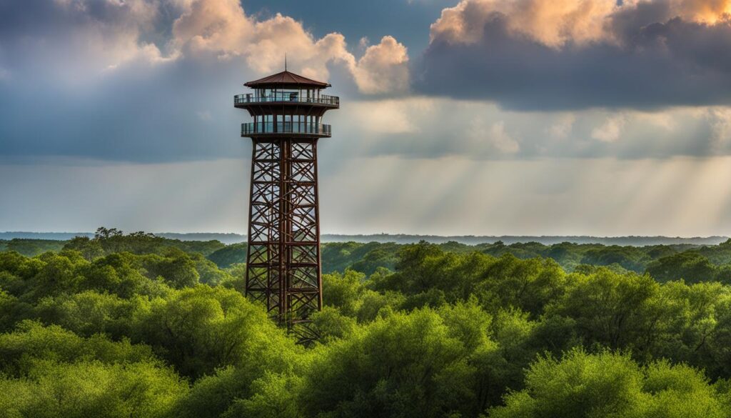 Hawk Observation Tower