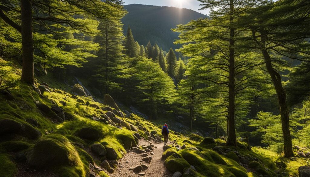 Hiking at Glendalough State Park