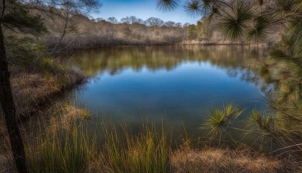 Lake June In Winter Scrub State Park - Wildlife and Nature Photography