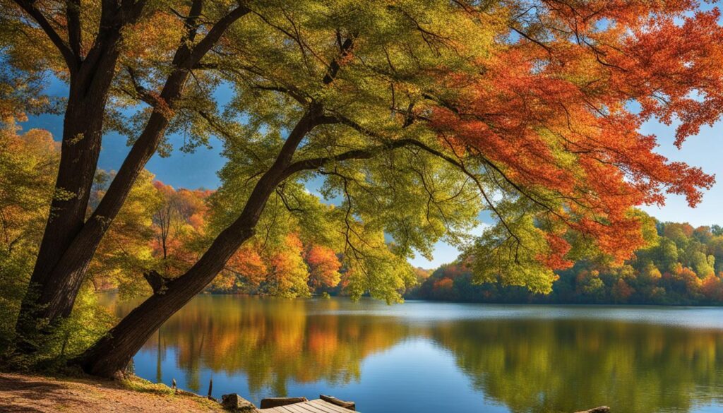 Lake Wapello State Park