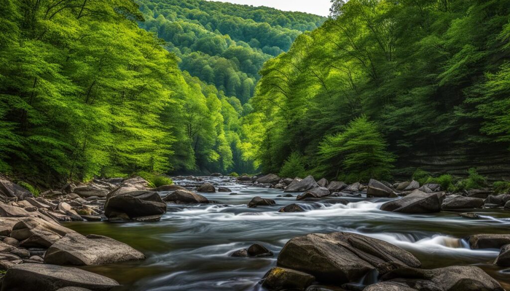 Lehigh Gorge Trail