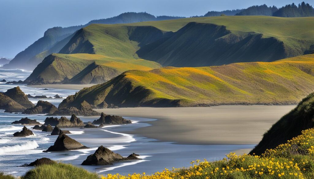 Park Highlights at Tolowa Dunes State Park Image
