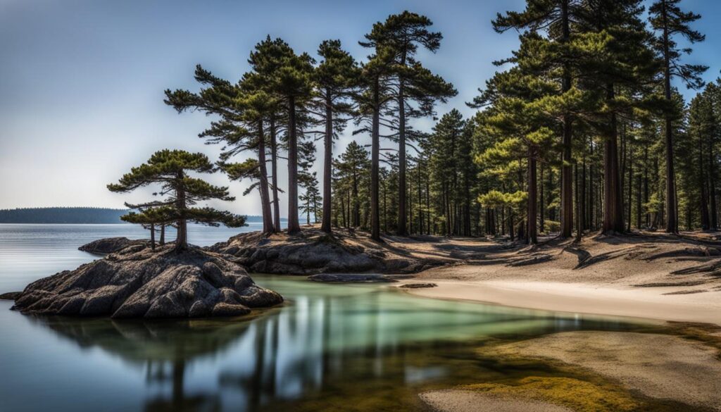 Patos Island State Park