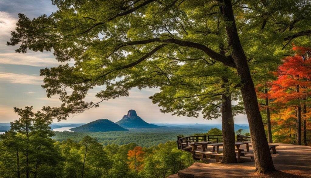 Pinnacle Mountain State Park Services and Facilities