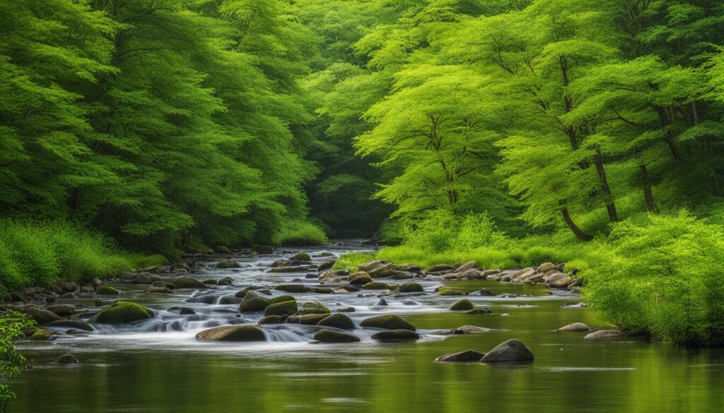 Quinebaug River Wildlife Management Area