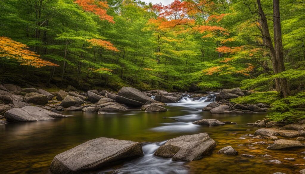 State Park in American English