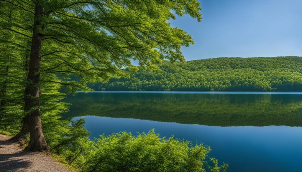 Tygart Lake State Park