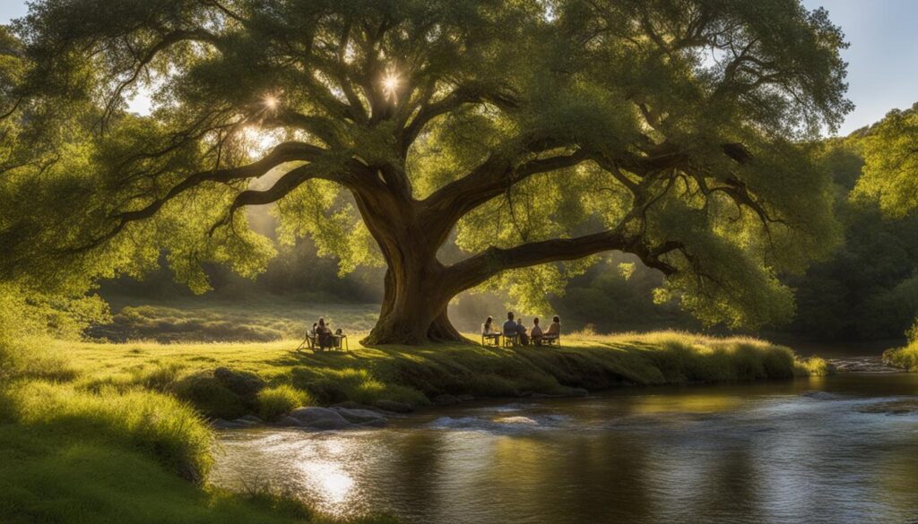 Wye Oak State Park