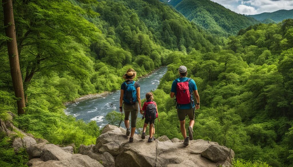 activities in clinch river state park