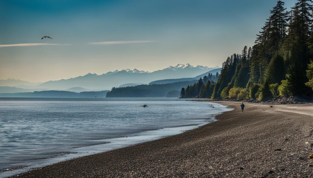 beach exploration at sequim bay state park