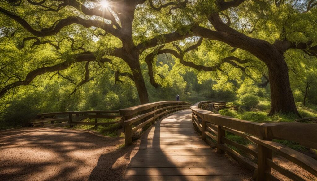 big oak tree state park
