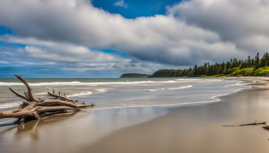 bottle beach state park