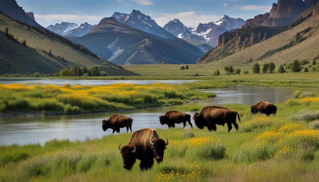 buffalo bill state park