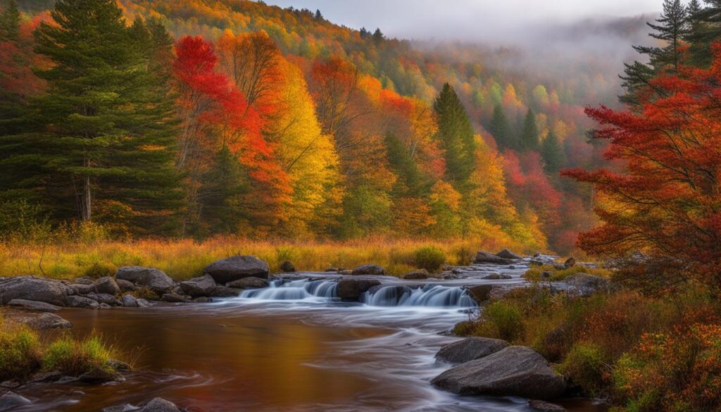 canaan valley