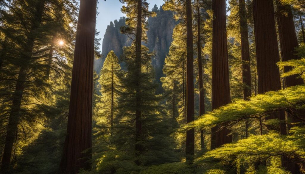 cathedral state park