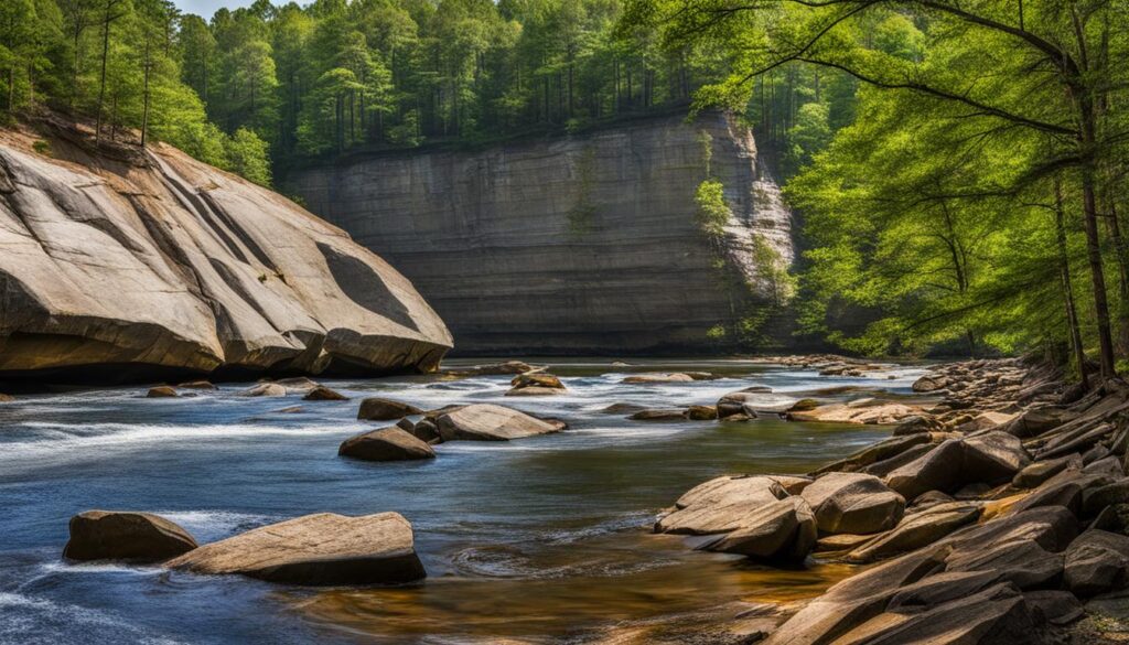 cliffs of the neuse state park