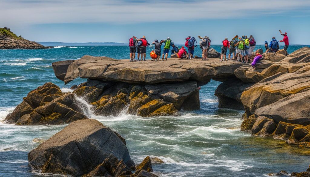 coastal sea life exploration