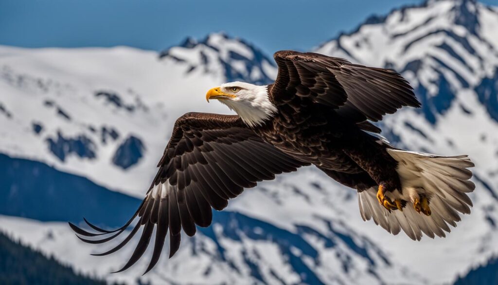 eagles in alaska