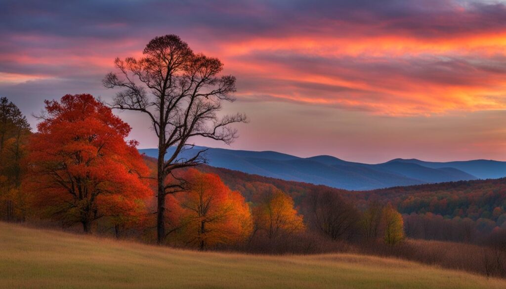 elk knob state park