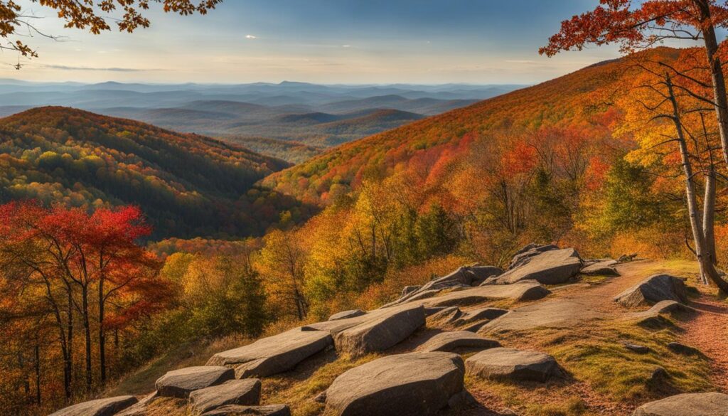 elk knob state park