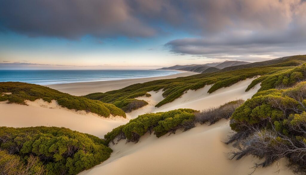 fort ord dunes state park