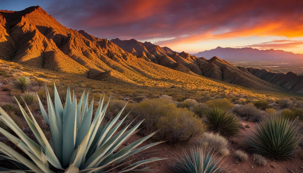 franklin mountains state park