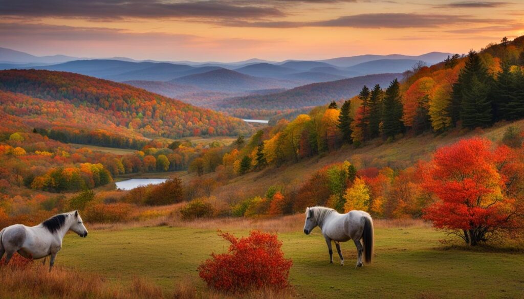 grayson highlands state park