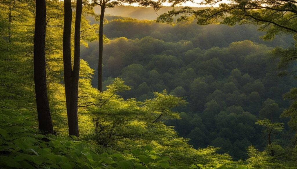 hallock state park preserve