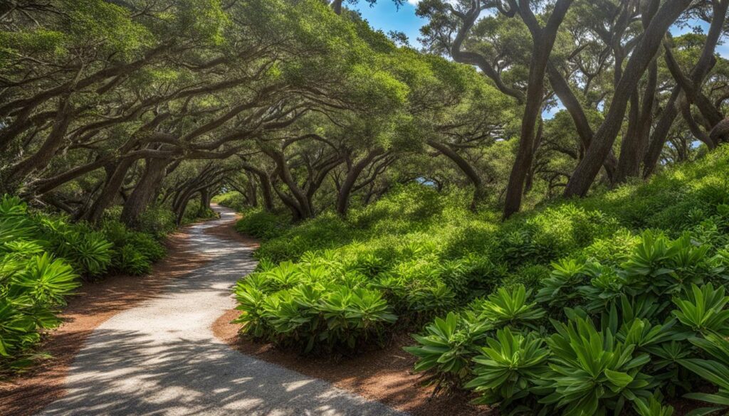 hiking trail at Fort Fisher State Recreation Area