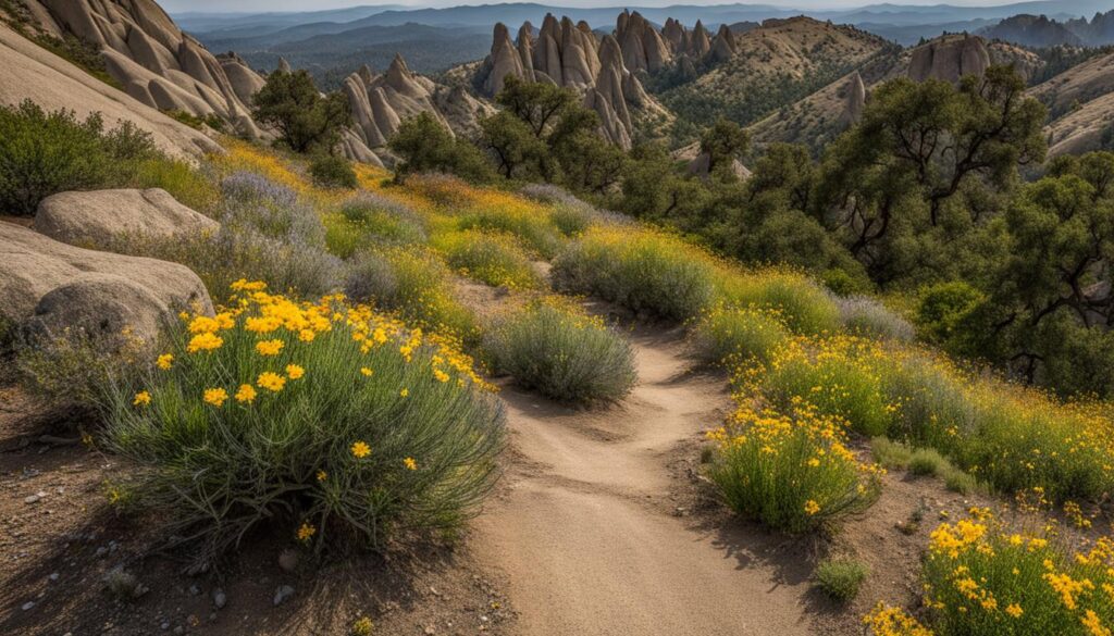 hiking trails