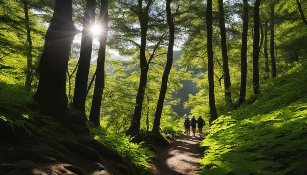 hiking trails in otter river state forest