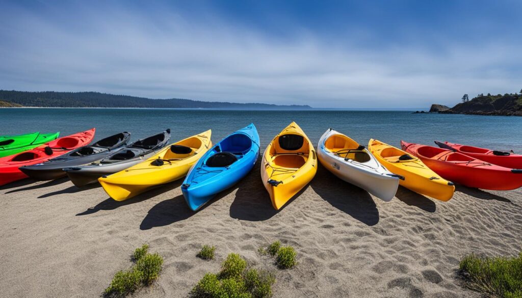 kayak rentals