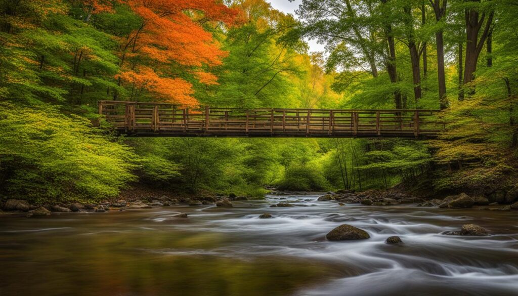 lacey-keosauqua state park