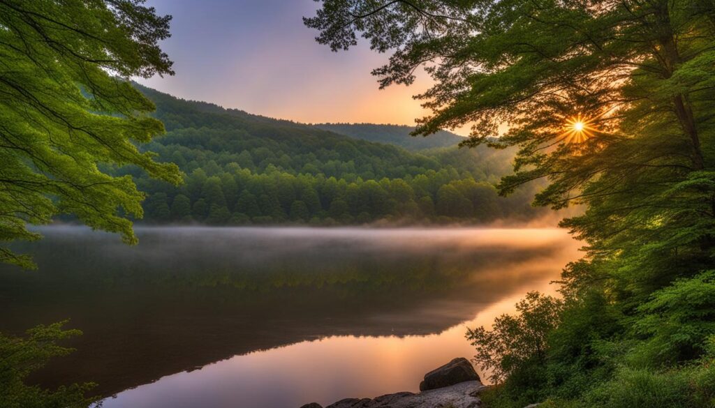 laurel mountain state park