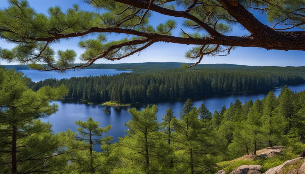 little pine state park