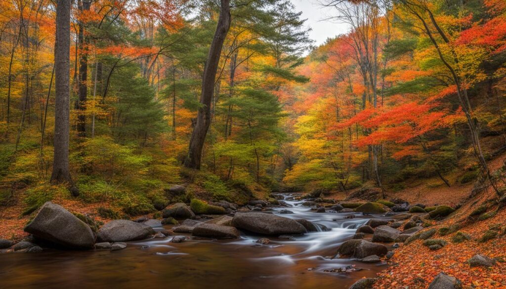 mattatuck state forest