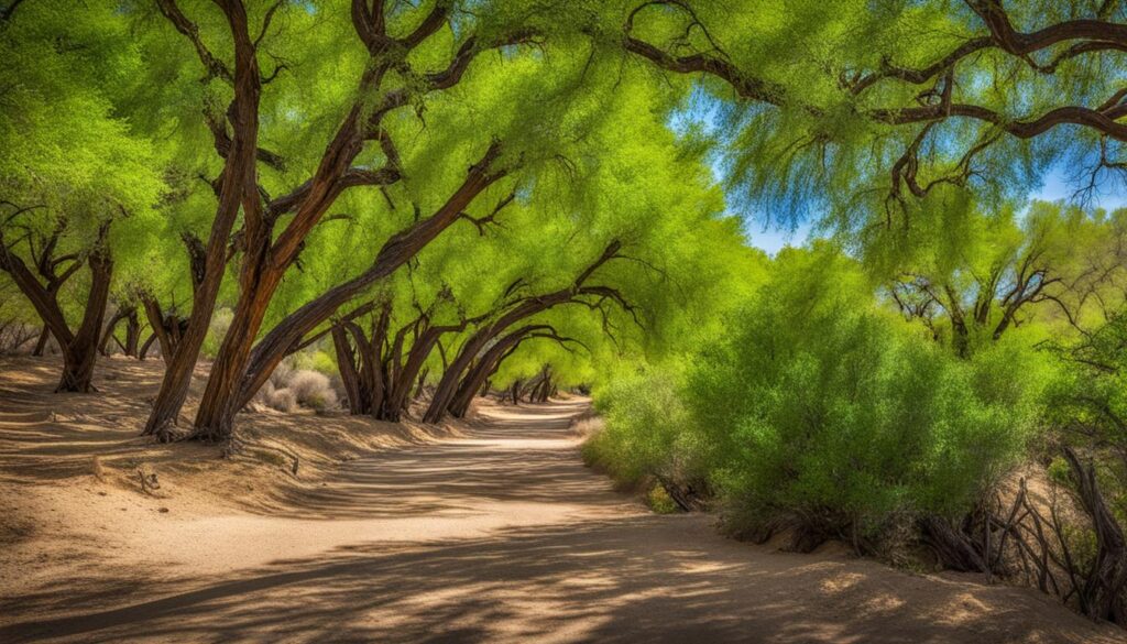 mesilla valley bosque state park