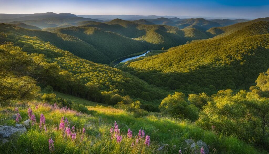 mount bushnell state park