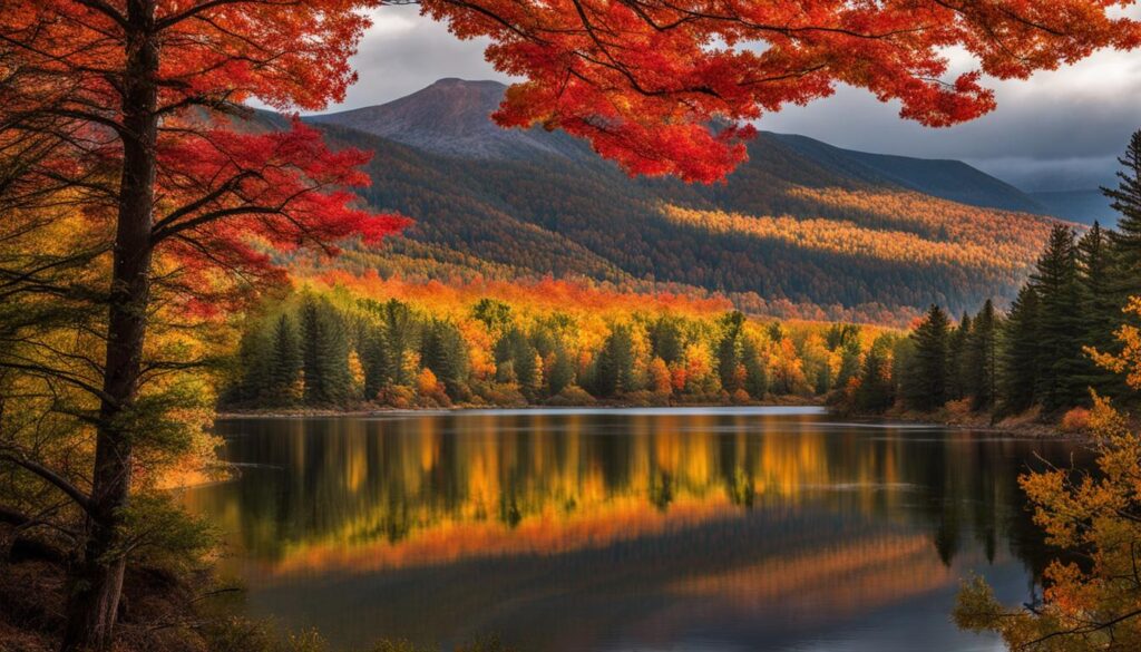 natural beauty of New Hampshire State Parks