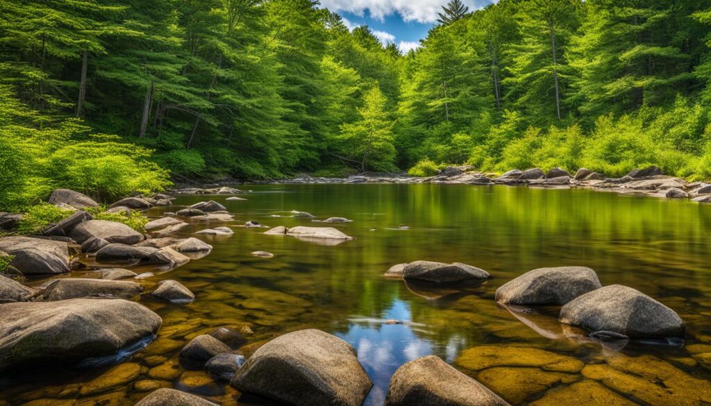 otter river state forest